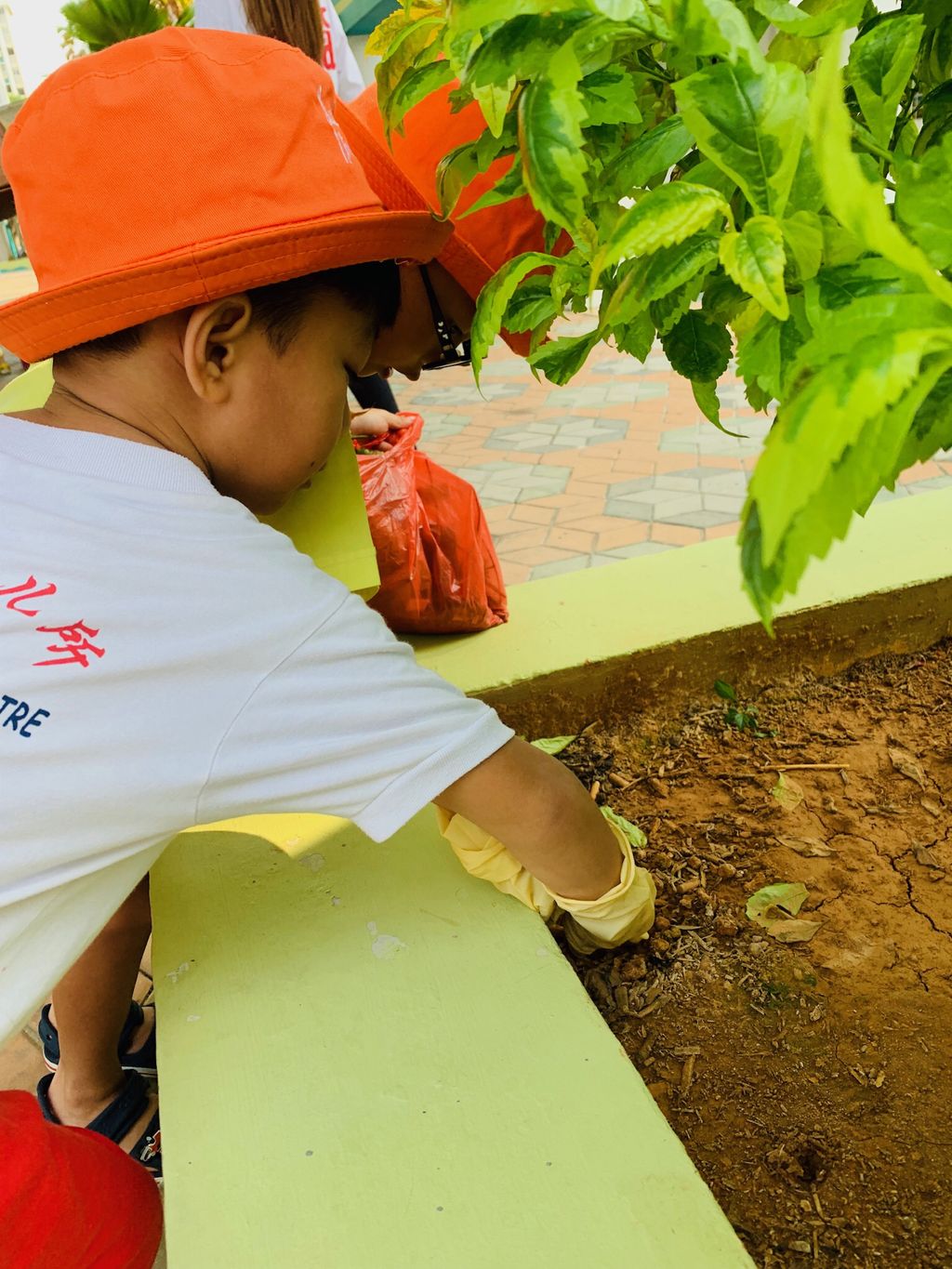 Keeping Singapore Clean & Green: Litter Picking Day around the neighbourhood! — photo 3