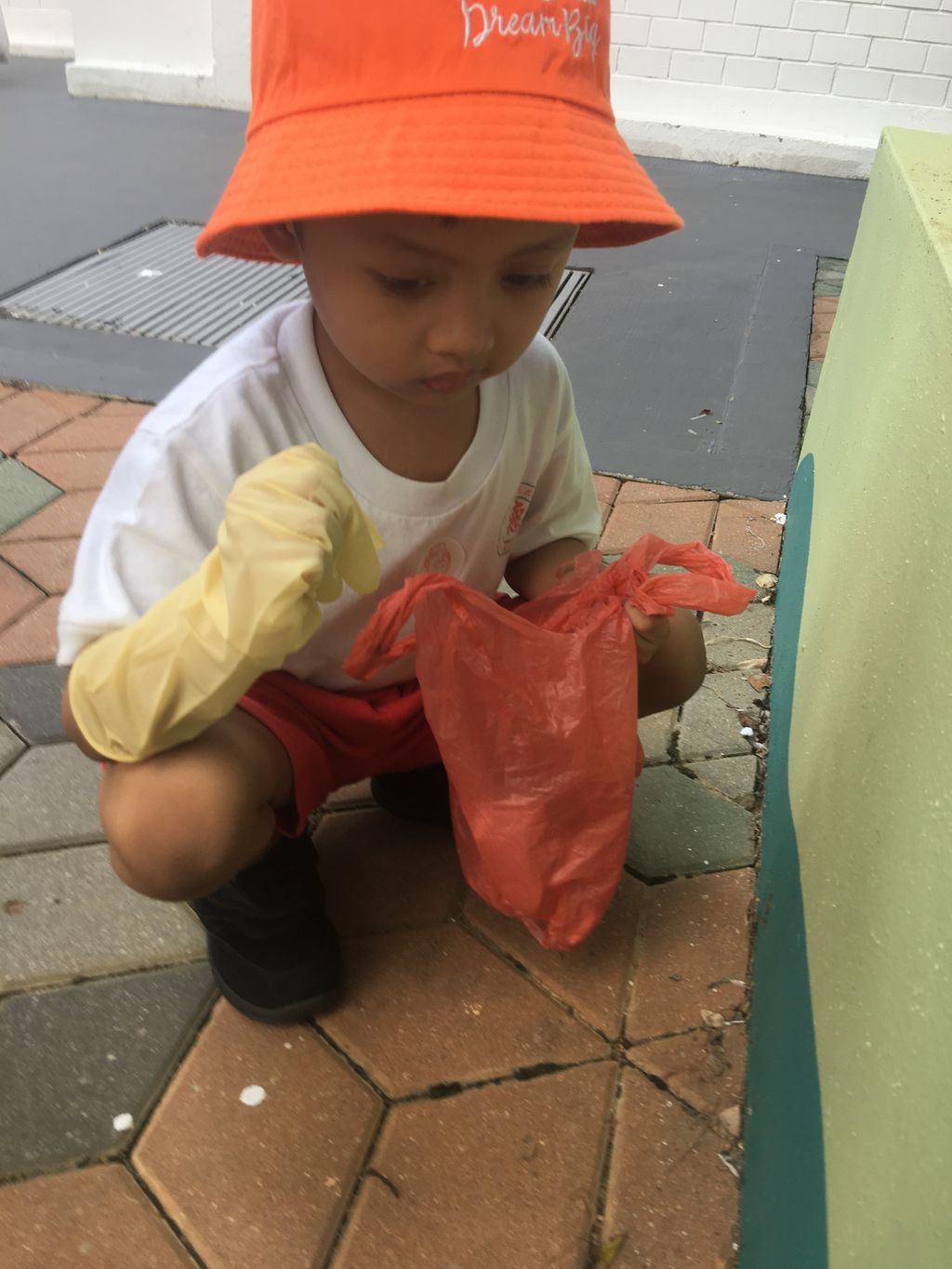 Keeping Singapore Clean & Green: Litter Picking Day around the neighbourhood! — photo 2