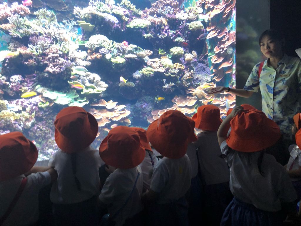 Marine Animals Awareness: An Underwater Journey — photo 5