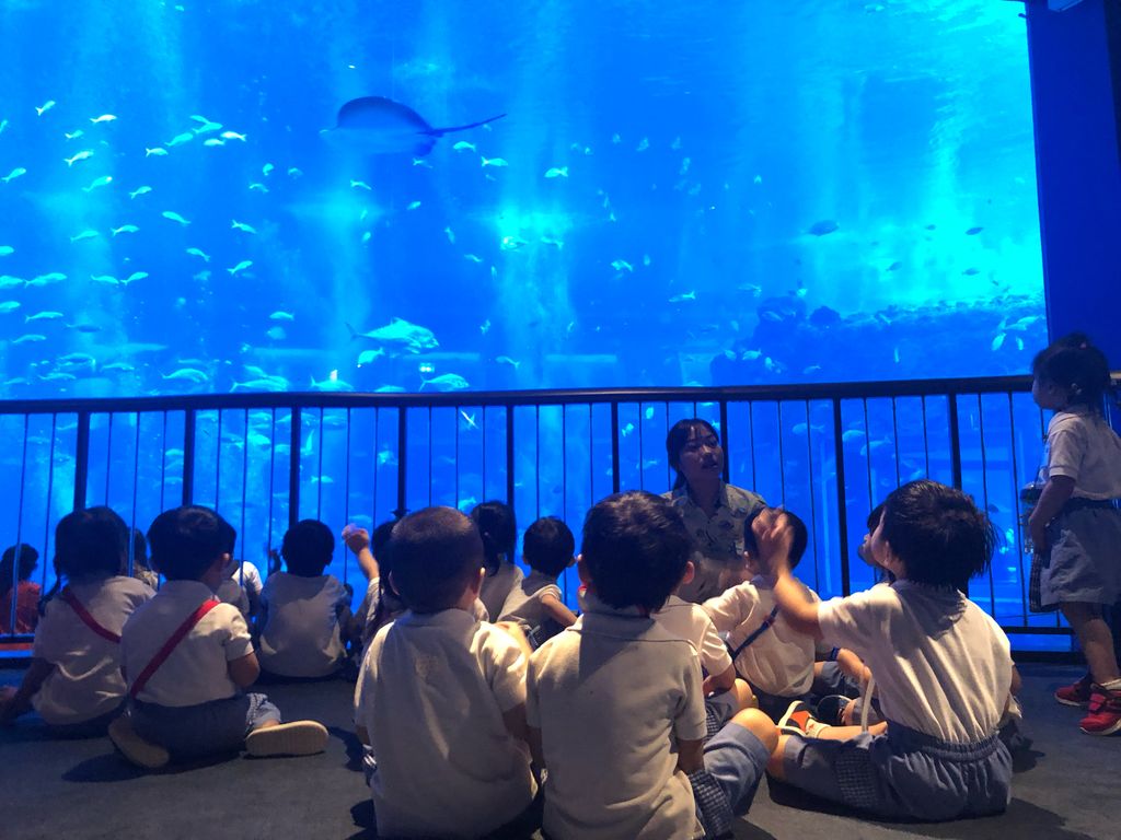 Marine Animals Awareness: An Underwater Journey — photo 8