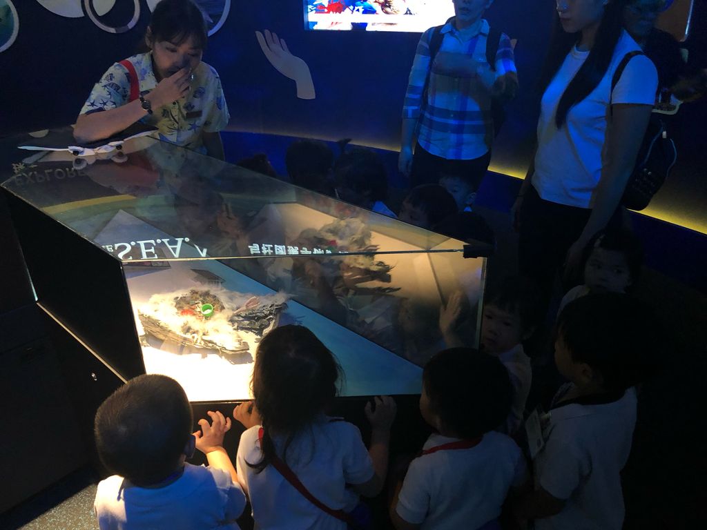 Marine Animals Awareness: An Underwater Journey — photo 11