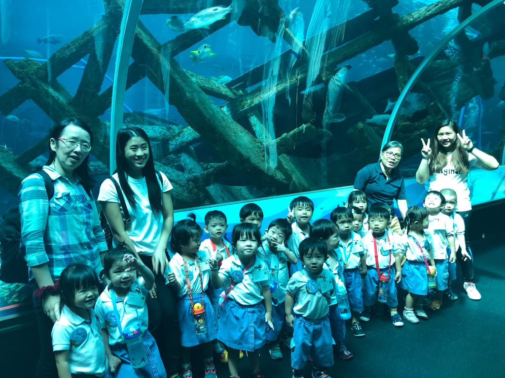 Marine Animals Awareness: An Underwater Journey — photo 12