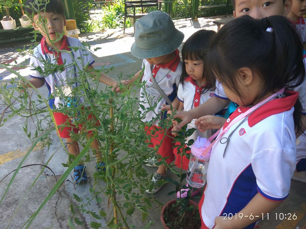 Little Gardeners @ Ulu Pandan (Blk 15) — photo 1