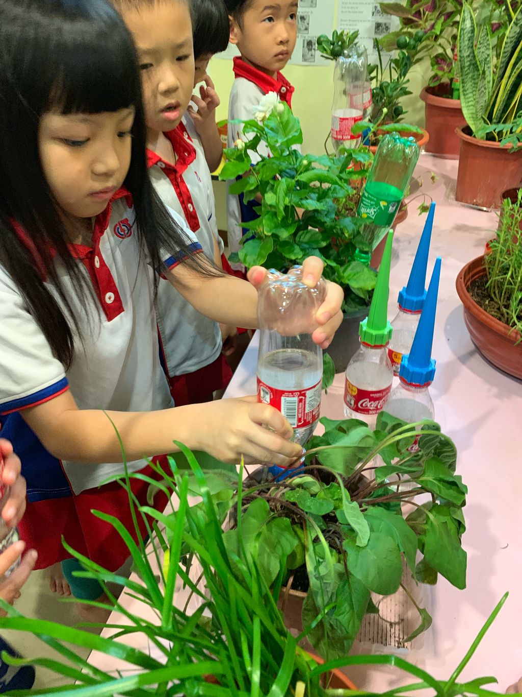 Green Learning with NorthWest CDC — photo 3