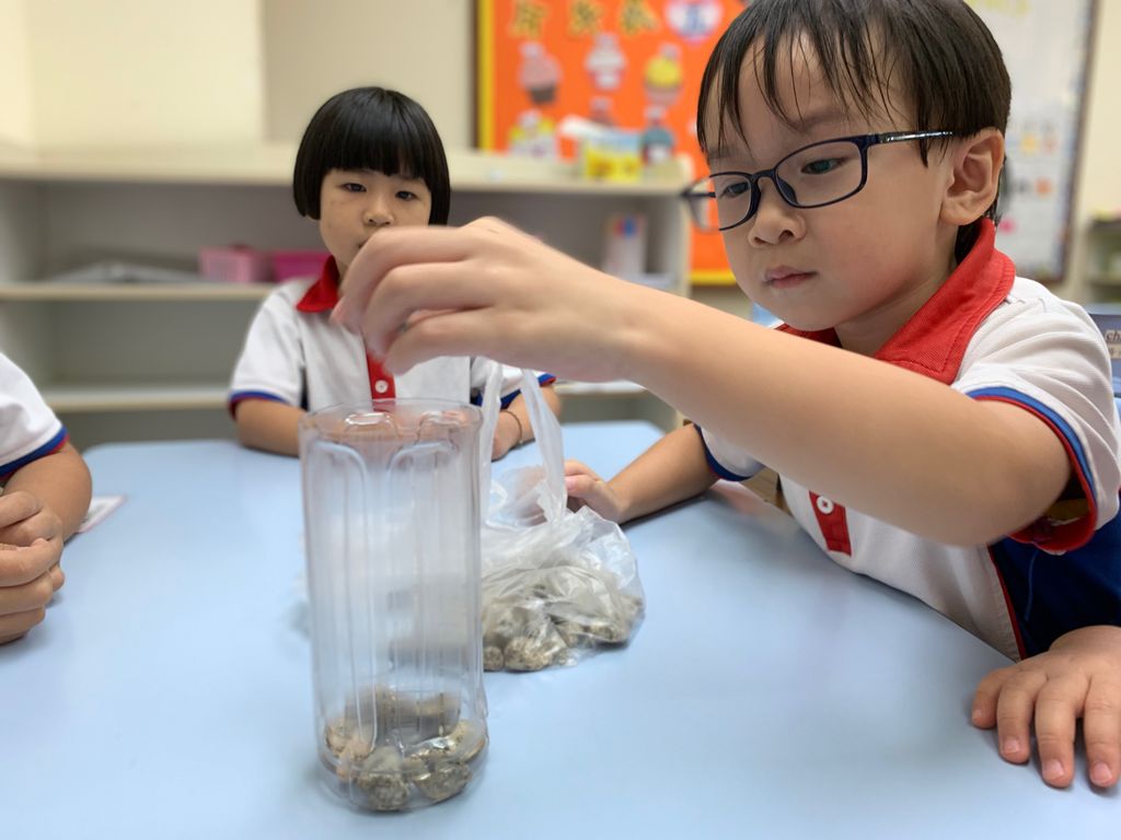 Green Learning with NorthWest CDC — photo 4