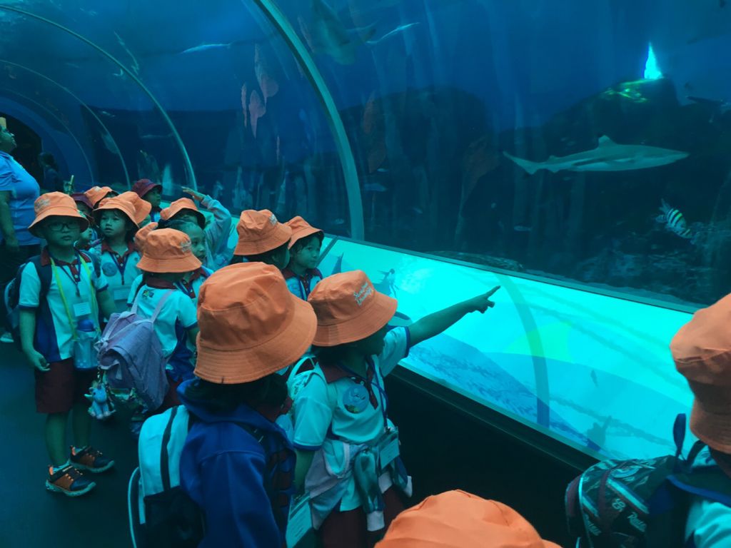 Little Hands' Ocean Quest — photo 2