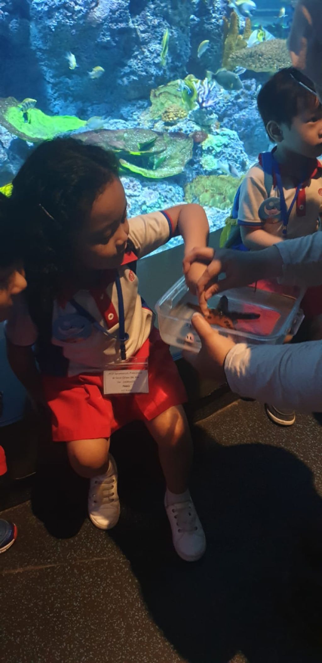 Little Hands' Ocean Quest — photo 1
