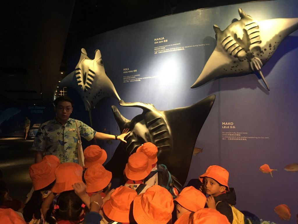 Little Hands' Ocean Quest — photo 2