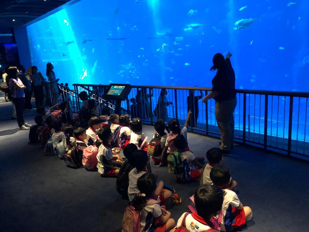 Little Hands' Ocean Quest — photo 3
