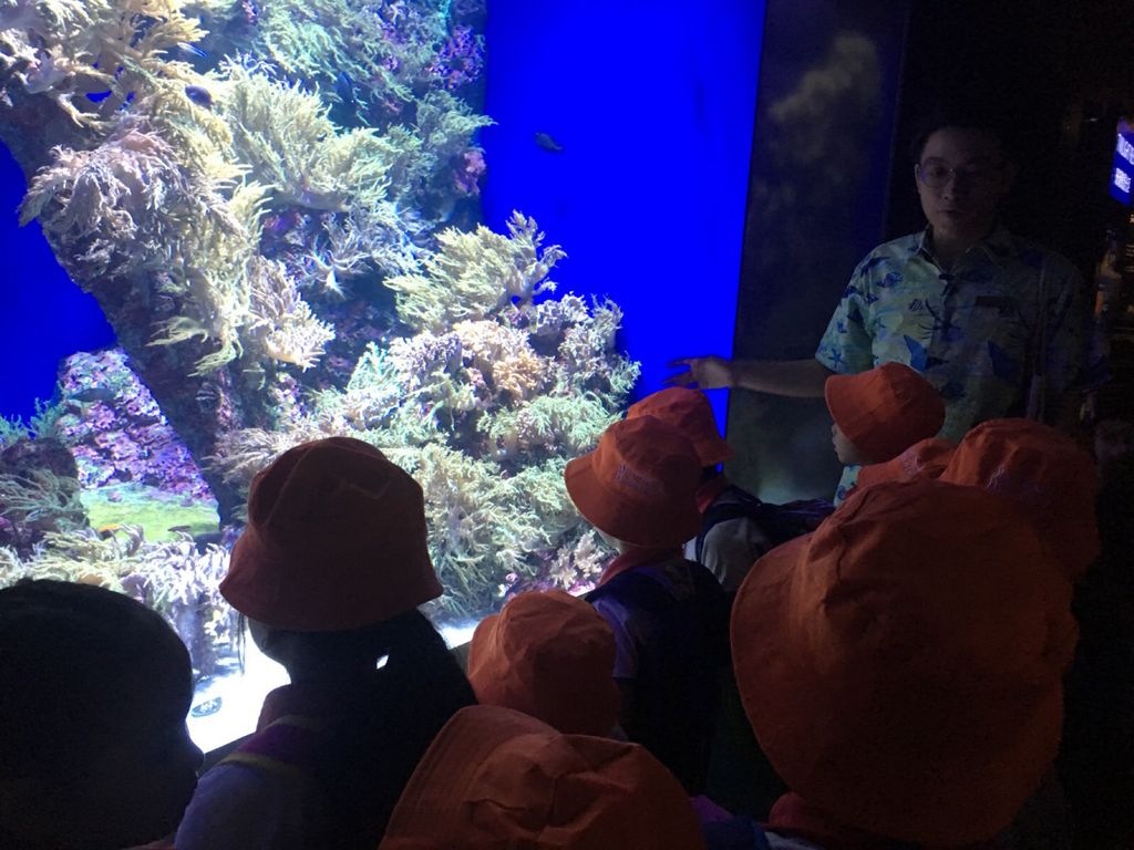 Little Hands' Ocean Quest — photo 4