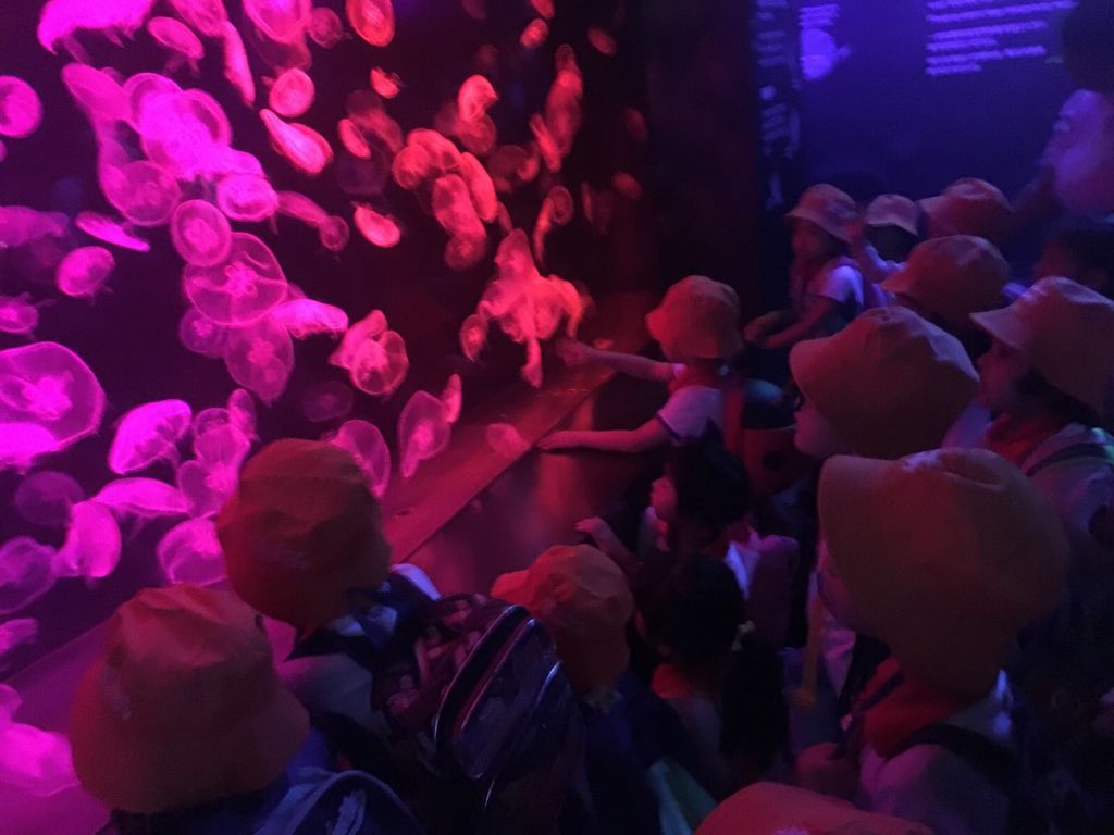 Little Hands' Ocean Quest — photo 5