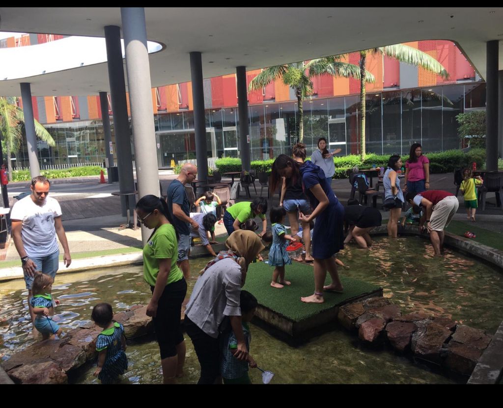 Pariposa Preschool Field Trips - Longkang Fishing and PUB NEWater plant — photo 2