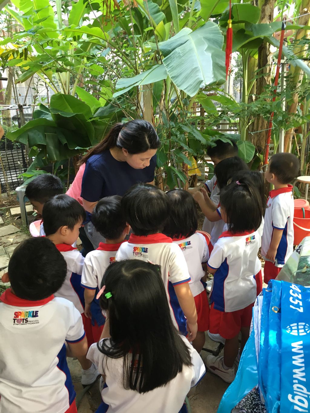 Visit to a Neighbourhood Garden( Treelodge Garden)