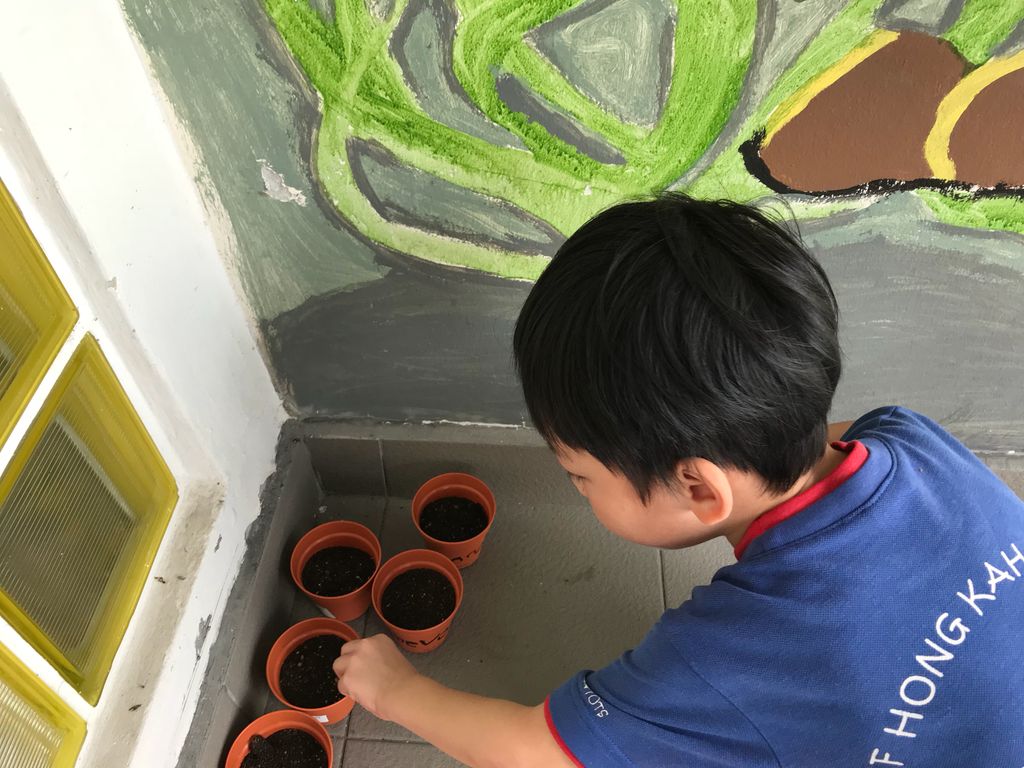 Keep it green! Keep it clean! — photo 4