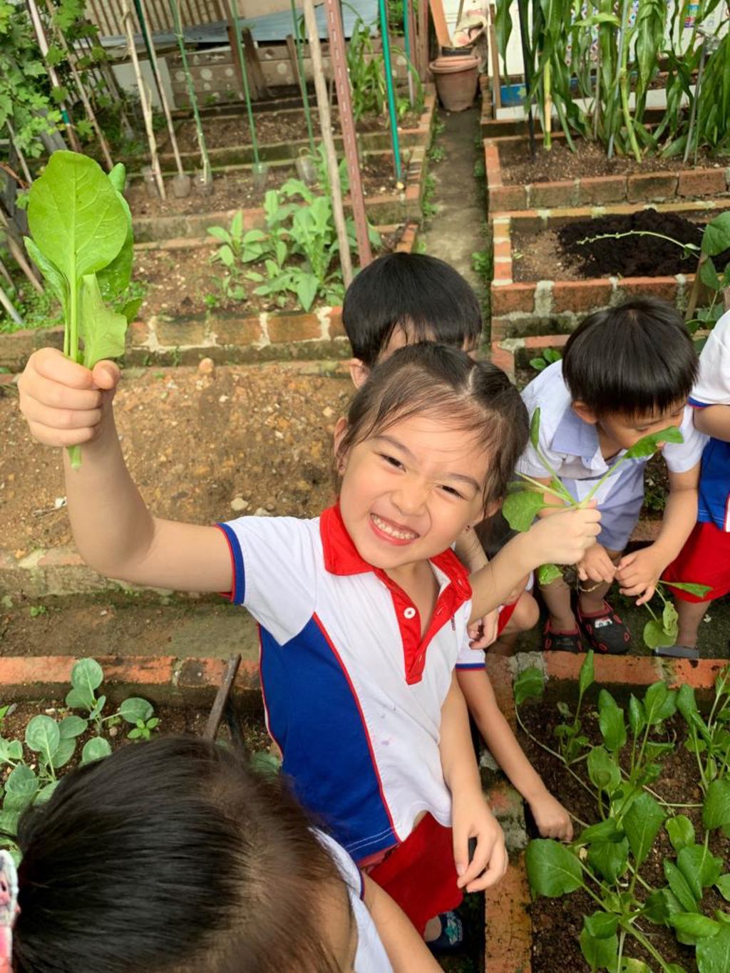 Young Harvesters — photo 7