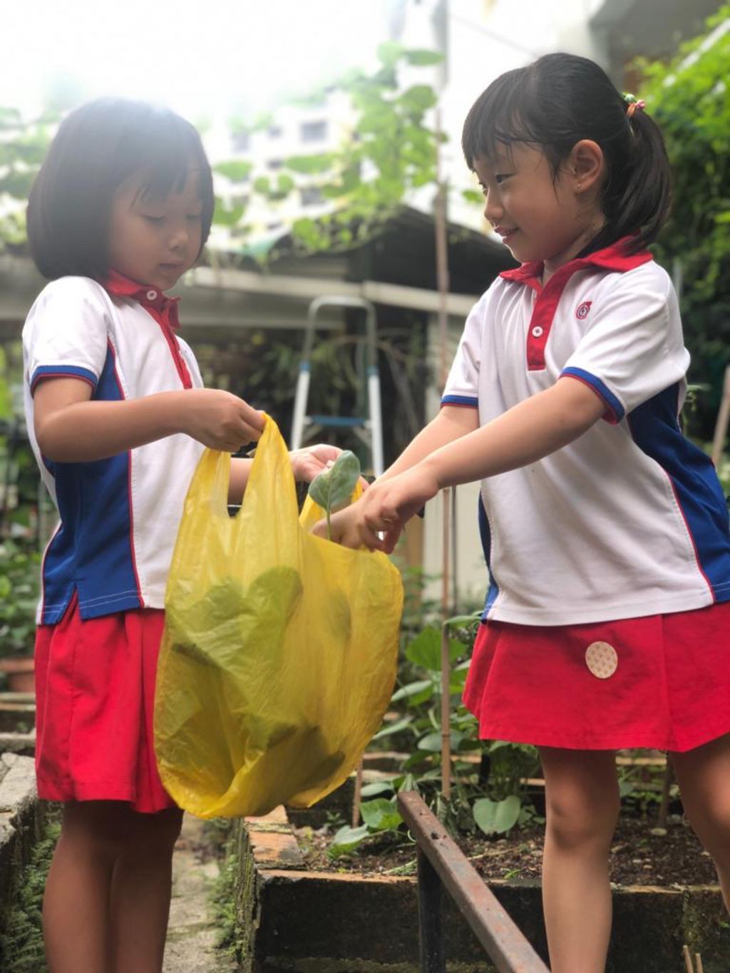Young Harvesters — photo 10