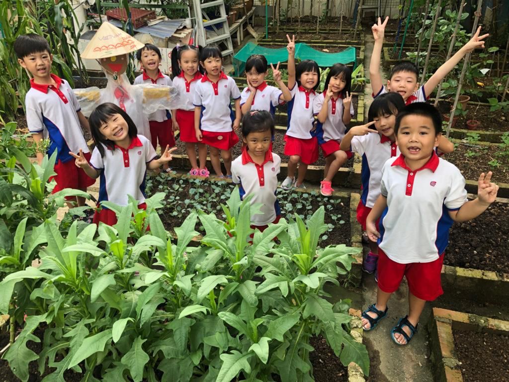 Young Harvesters — photo 12