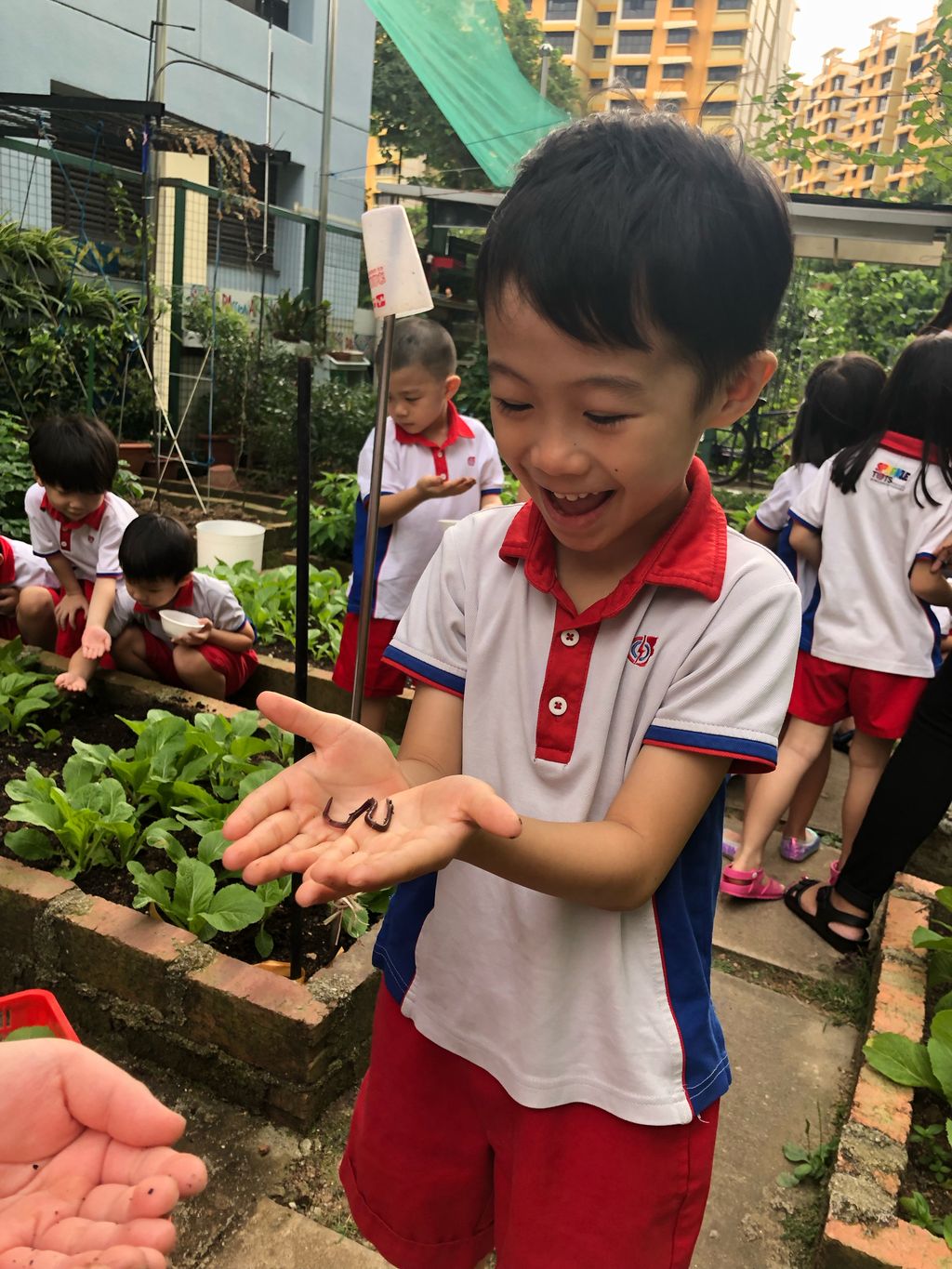 Young Harvesters — photo 14