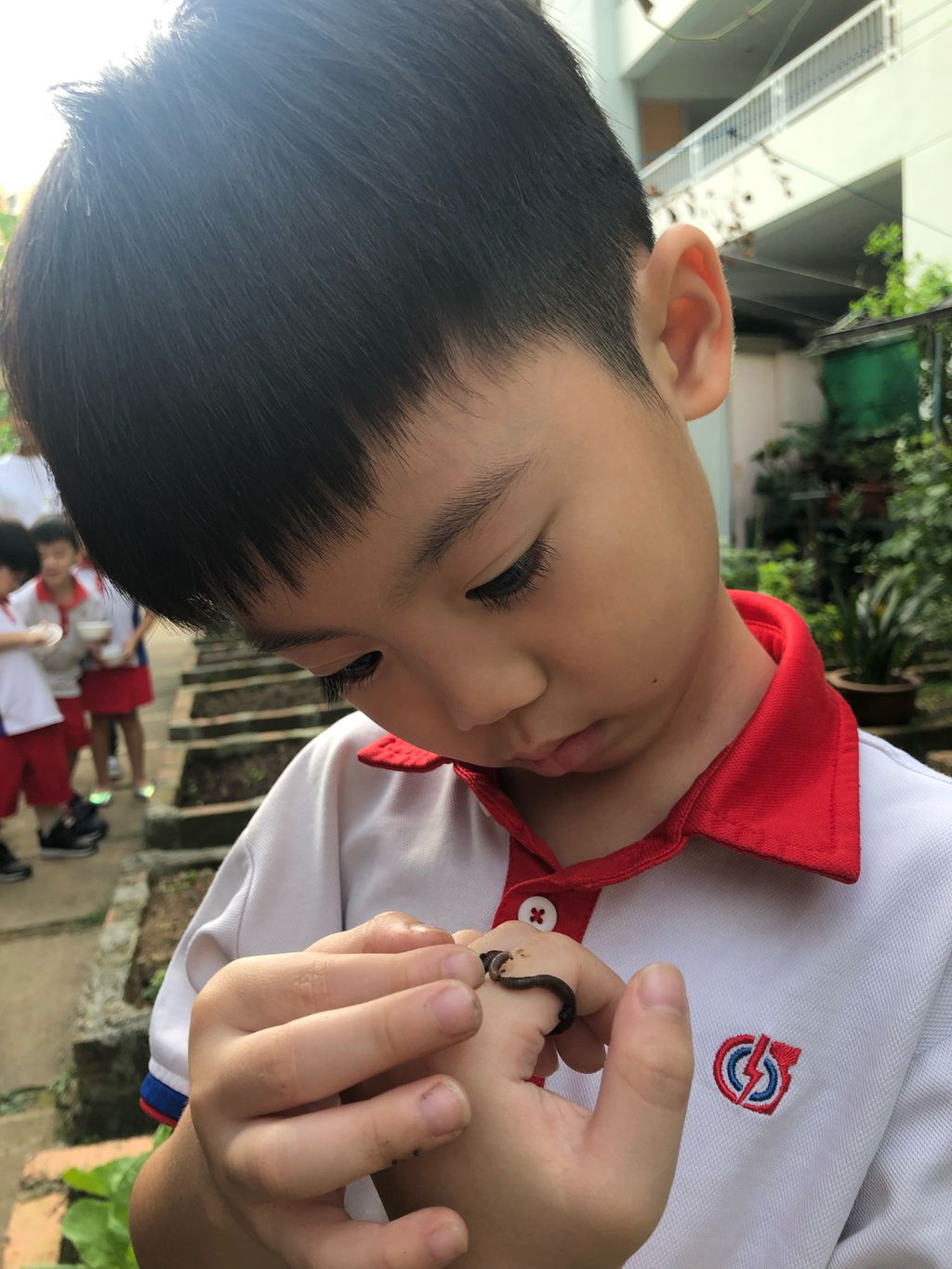 Young Harvesters — photo 16