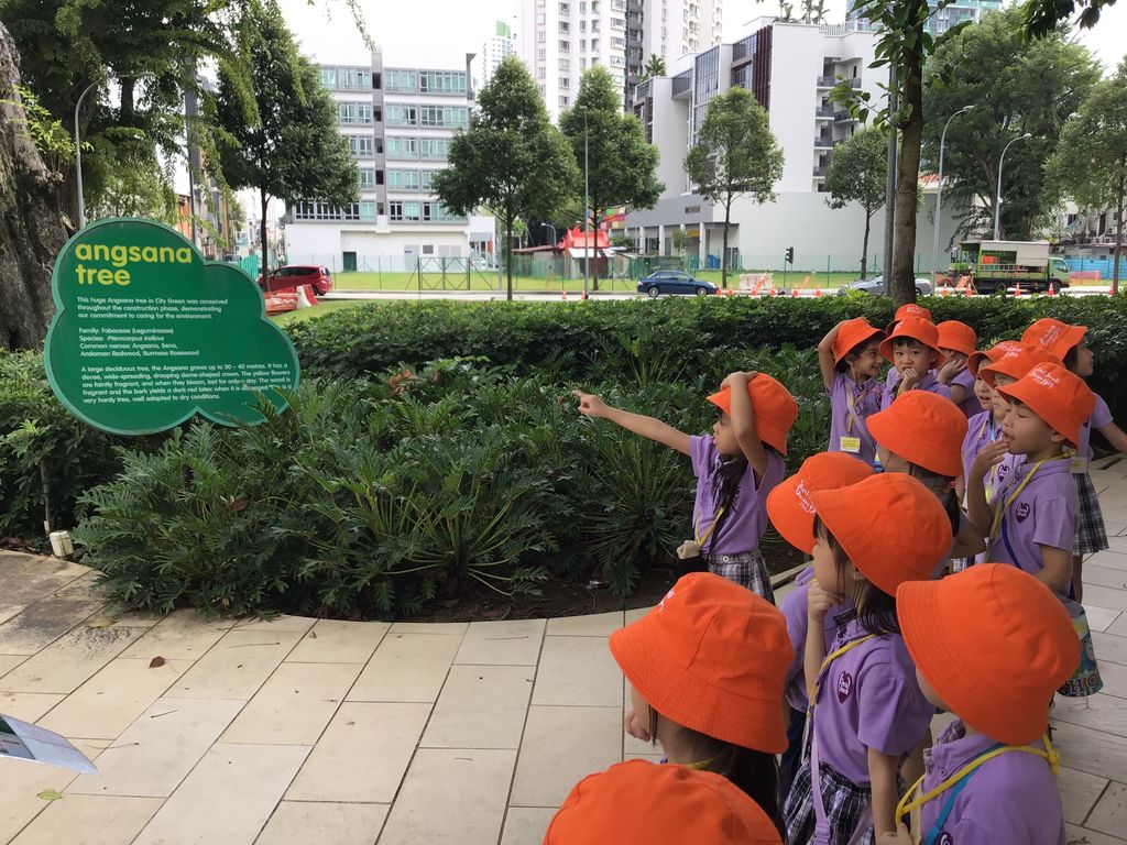 Cherie Hearts Kidz Campus @ Pasir Ris Elias Mall - Event : “Excursion to City Square Mall, Singapore’s First Eco-mall” on 29 January 2019 (Tuesday) — photo 1