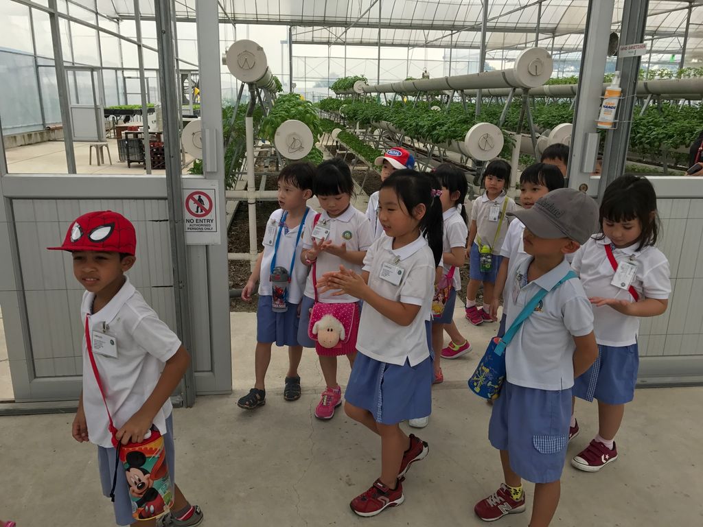 SSDB: "The Little Green Thumbs" Learning Vision @ NUHS