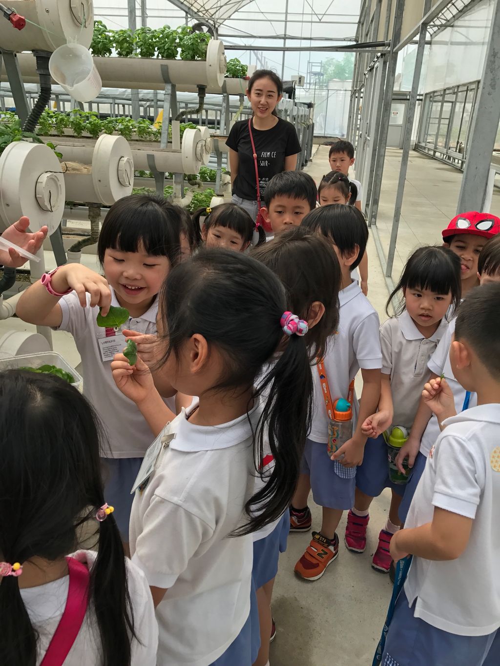 SSDB: "The Little Green Thumbs" Learning Vision @ NUHS — photo 2