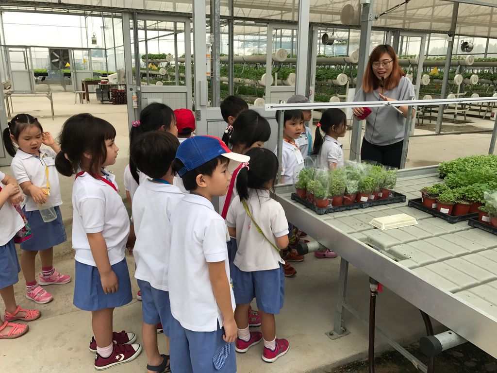 SSDB: "The Little Green Thumbs" Learning Vision @ NUHS — photo 3