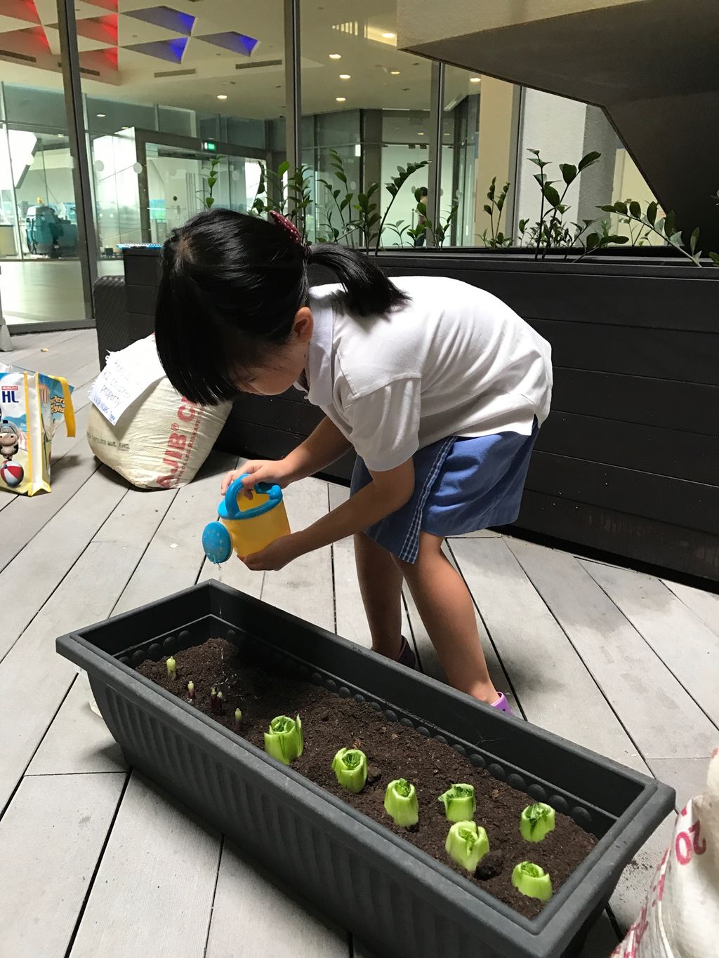 SSDB: "The Little Green Thumbs" Learning Vision @ NUHS — photo 1
