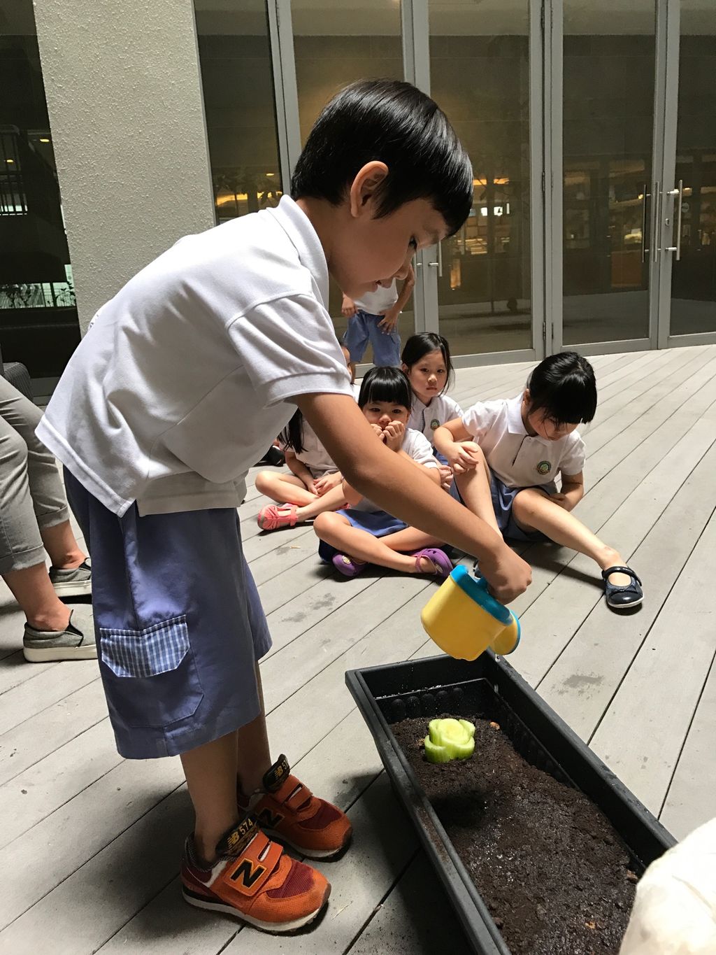 SSDB: "The Little Green Thumbs" Learning Vision @ NUHS — photo 3