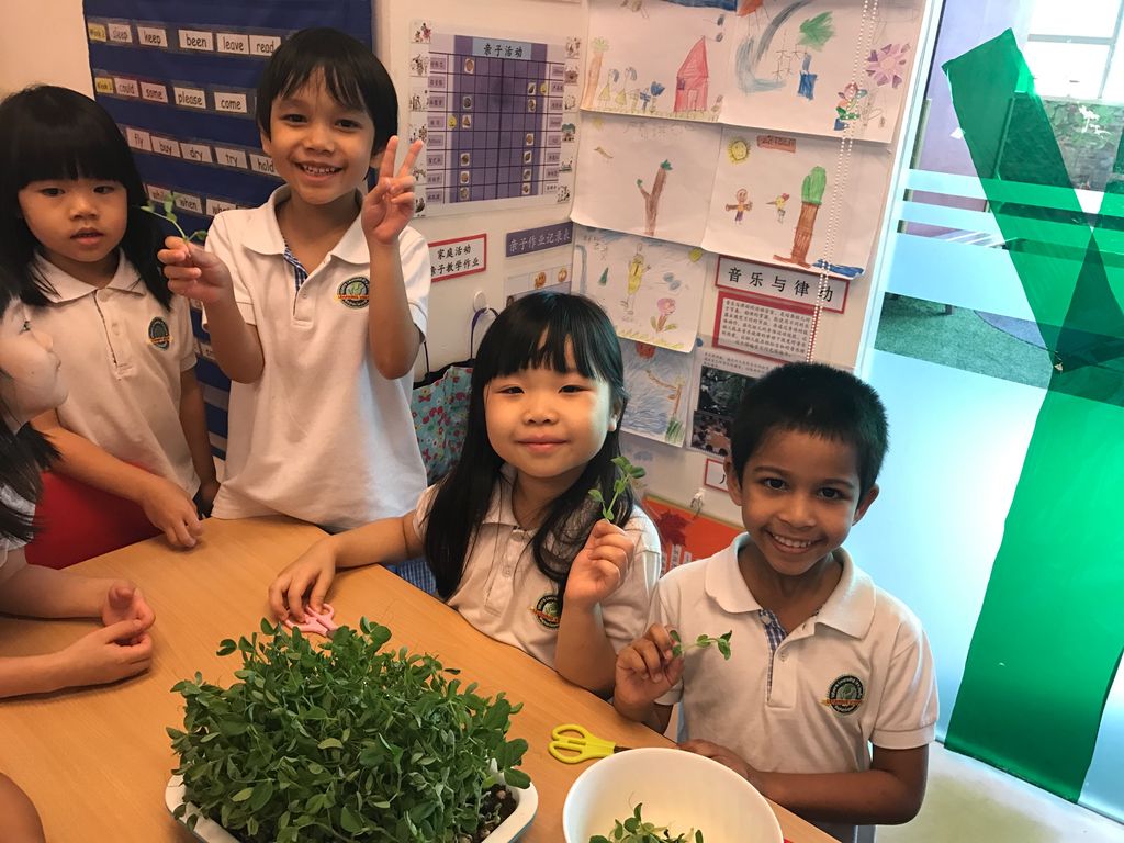 SSDB: "The Little Green Thumbs" Learning Vision @ NUHS — photo 2