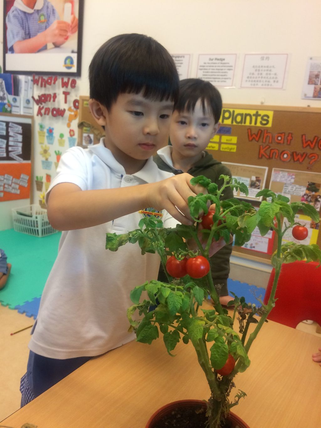 SSDB: "The Little Green Thumbs" Learning Vision @ NUHS — photo 3