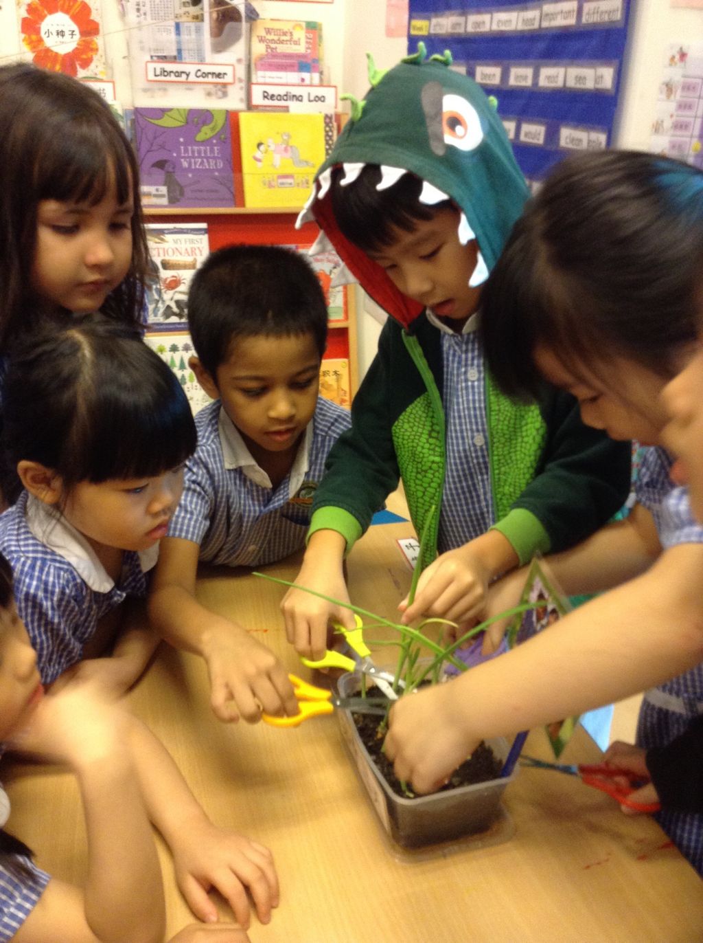 SSDB: "The Little Green Thumbs" Learning Vision @ NUHS — photo 5