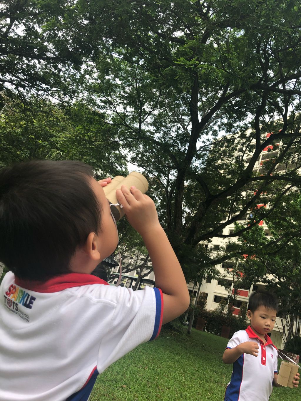 "Learn from Our Past, Dream of Our Future" @Toa Payoh West Balestier Blk 45 DS — photo 2