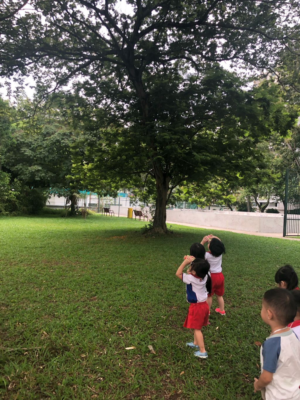 "Learn from Our Past, Dream of Our Future" @Toa Payoh West Balestier Blk 45 DS — photo 4
