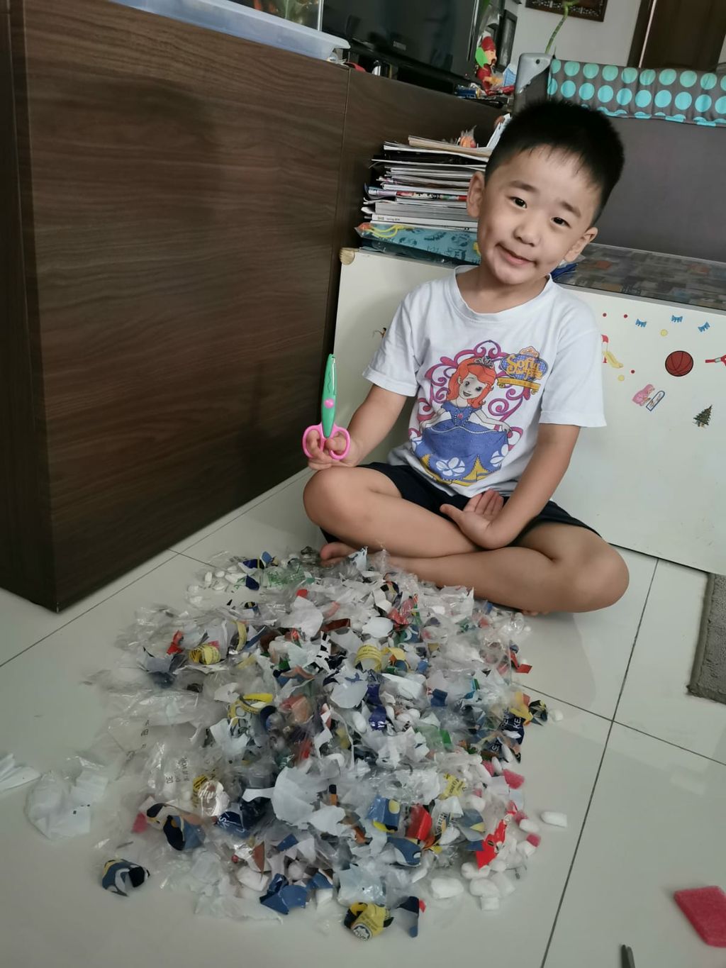 Recycling Project — photo 5