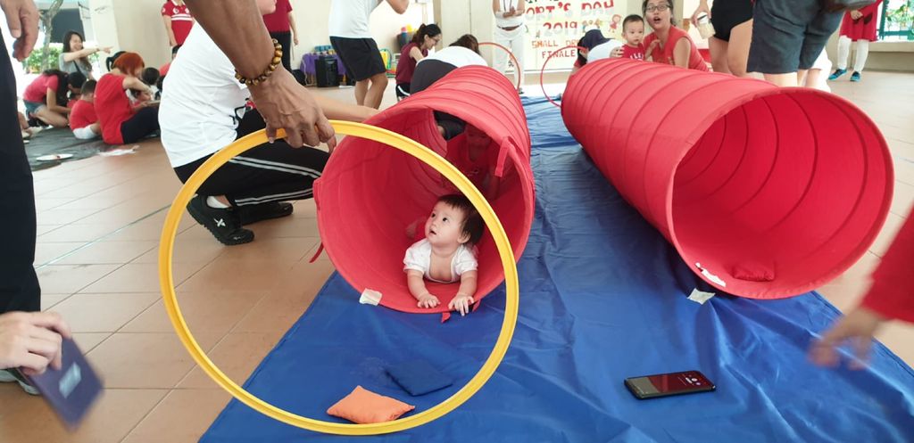 Start Small Dream Big Finale 2019 @ PCF Sparkletots Preschool @ Bukit Timah Blk 305 / 307 / 309 (IF / CC) — photo 3