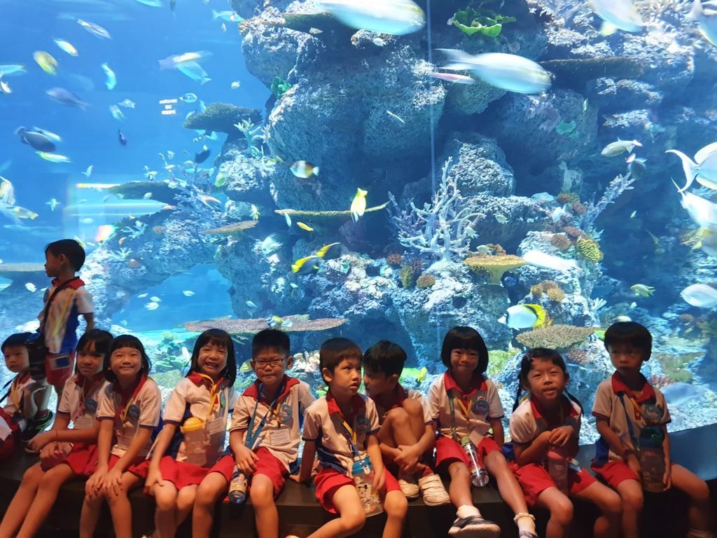 PCF Sparkletots Preschool @ Kampong Chai Chee BLK 424 visit the S.E.A Aquarium.