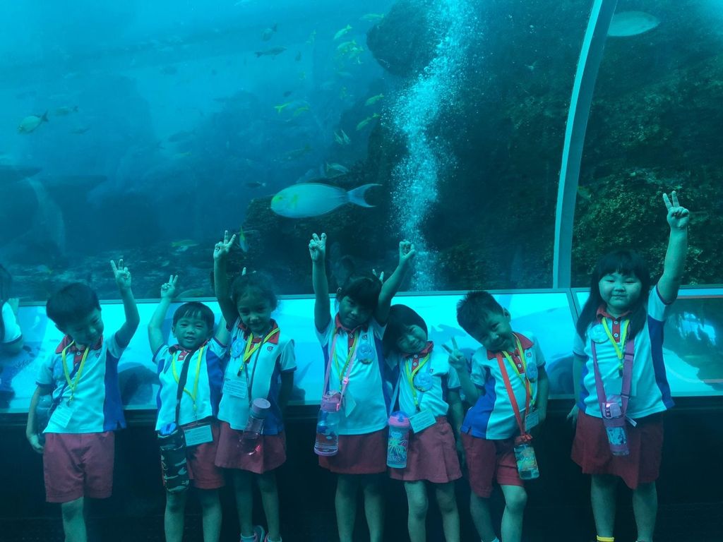 PCF Sparkletots Preschool @ Kampong Chai Chee BLK 424 visit the S.E.A Aquarium. — photo 2