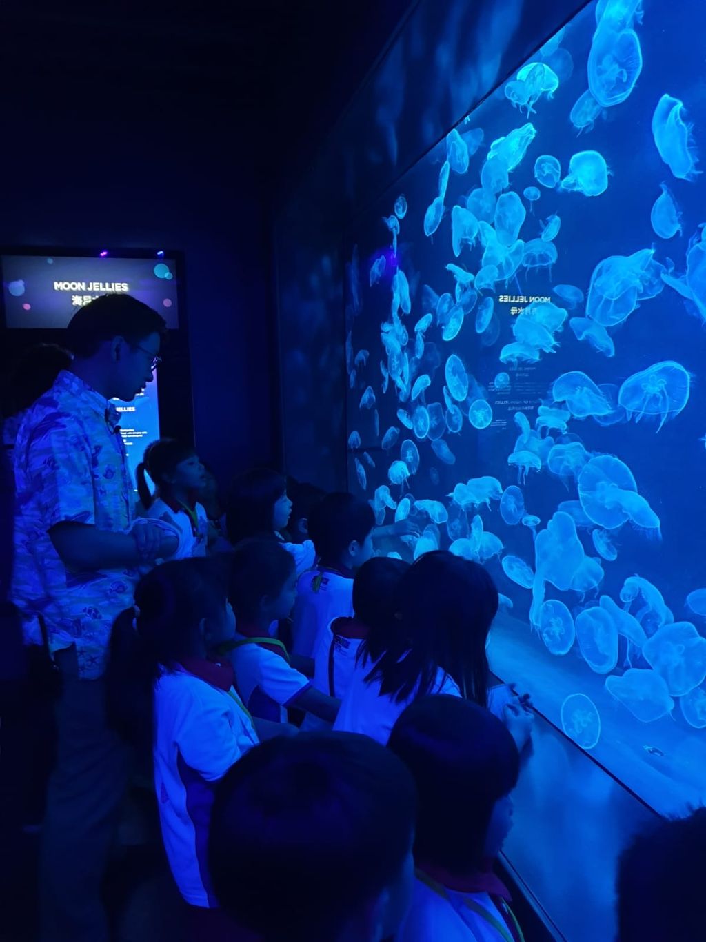 PCF Sparkletots Preschool @ Kampong Chai Chee BLK 424 visit the S.E.A Aquarium. — photo 1