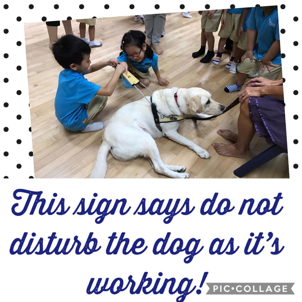 Part 1: Caring starts with me! — photo 2
