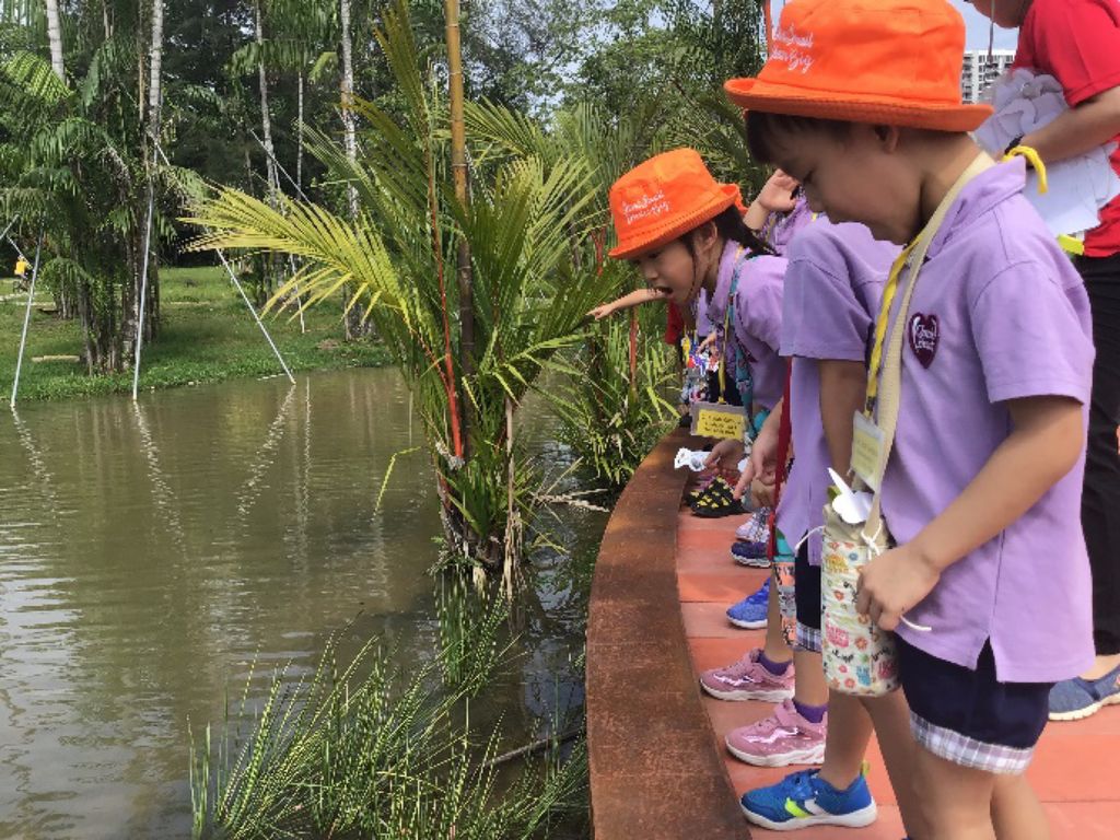 Cherie Hearts Kidz Campus @ Pasir Ris Elias Mall Event : “Learning Journey Trails at Jurong Lake Garden” on 30 April 2019 (Tuesday) — photo 1