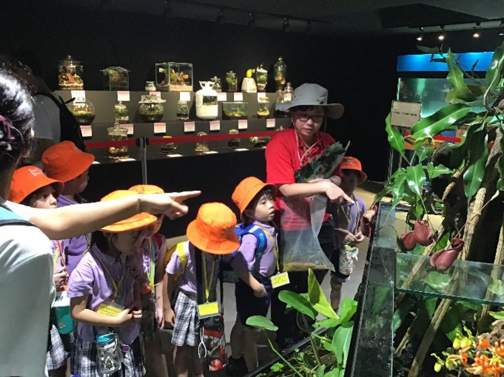 Cherie Hearts Kidz Campus @ Pasir Ris Elias Mall Event : “Learning Journey Trails at Jurong Lake Garden” on 30 April 2019 (Tuesday) — photo 1
