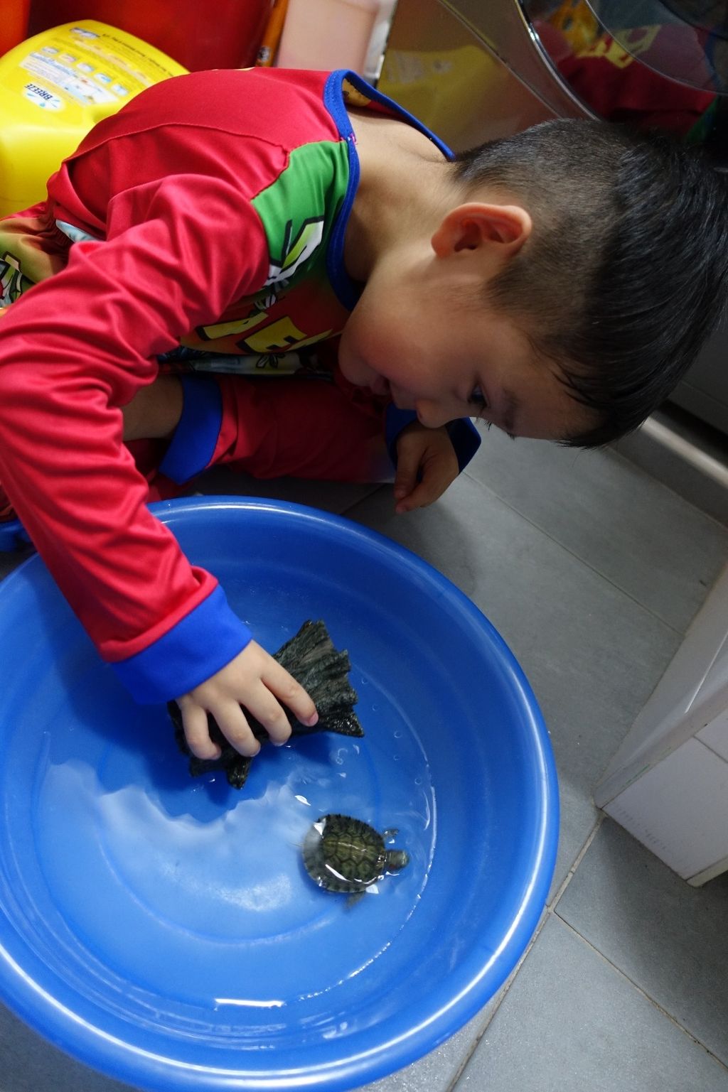 Let's Show Our Care For Animals — photo 3