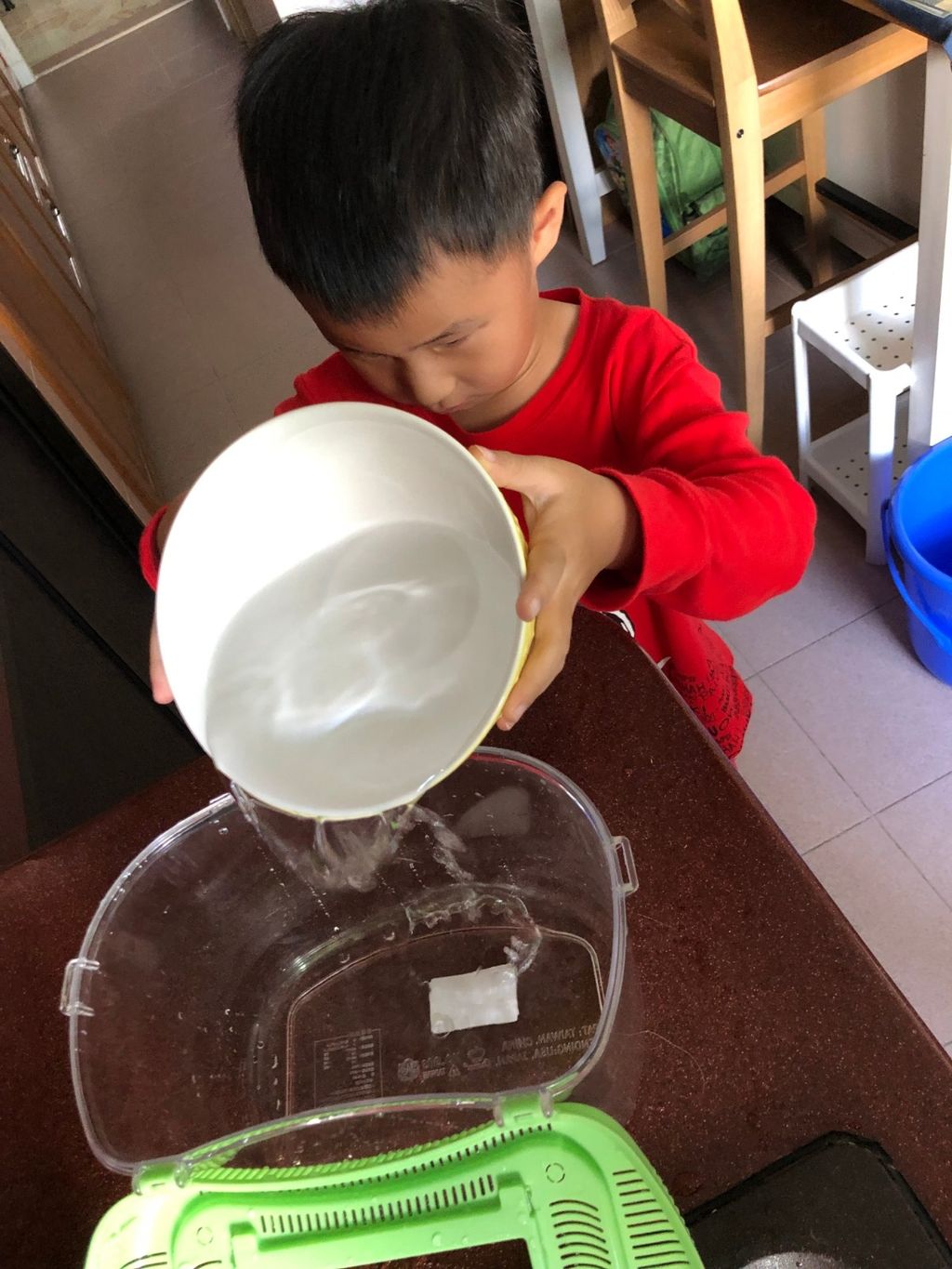 Let's Show Our Care For Animals — photo 5