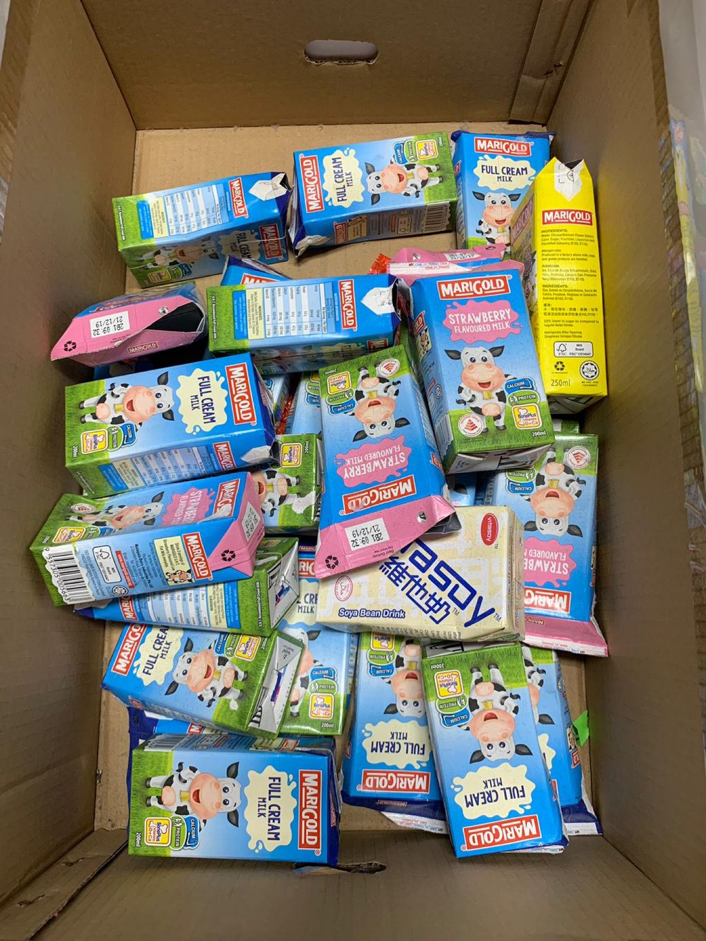 Sweetlands Childcare @ 643 Woodlands- Recycling Awareness — photo 2