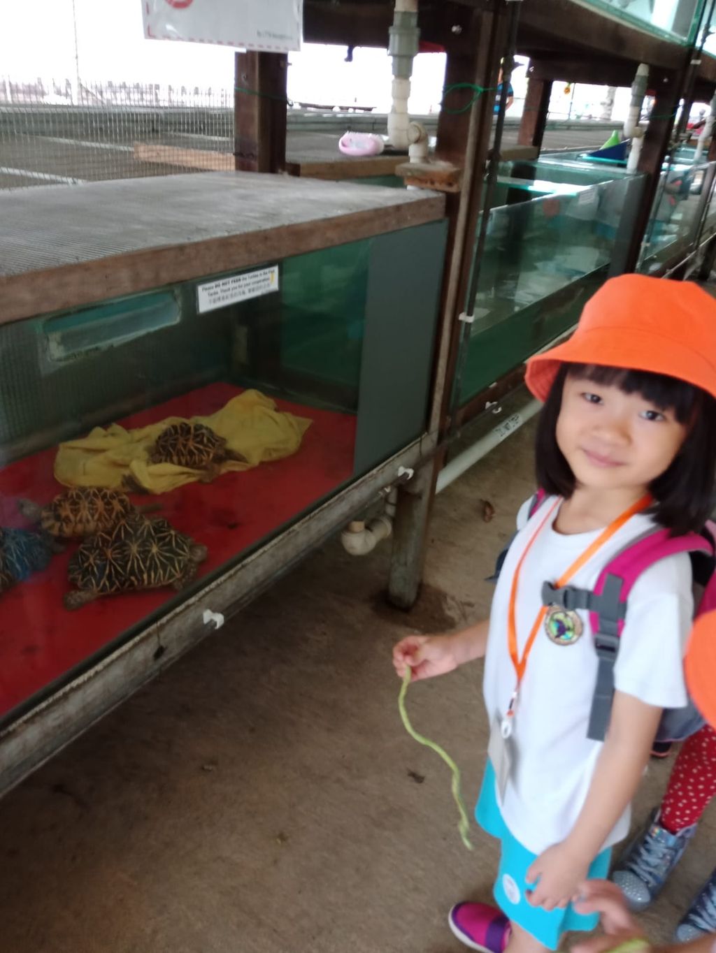 Little Ninja (Turtles) — photo 2