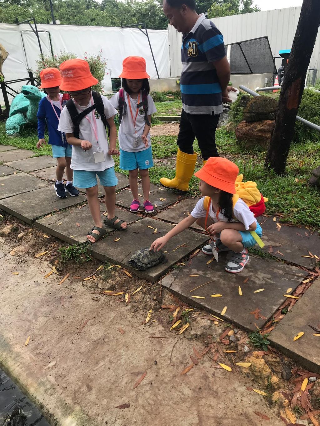 Little Ninja (Turtles) — photo 4