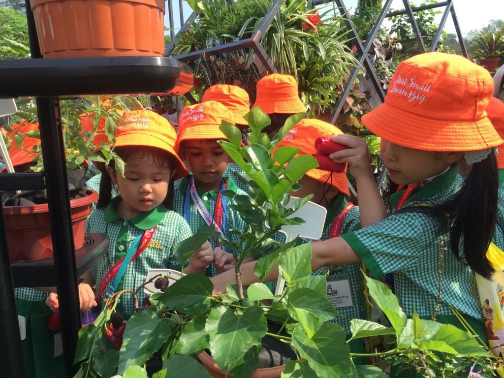 Jurong Lake Garden "A Day of Learning Journey" — photo 2