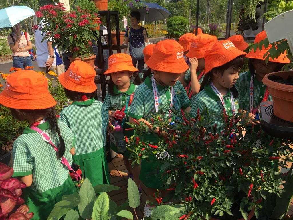 Jurong Lake Garden "A Day of Learning Journey" — photo 10