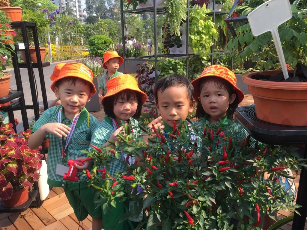 Jurong Lake Garden "A Day of Learning Journey" — photo 15